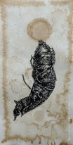 Mandrake 'Mermaid II', India ink, 2017