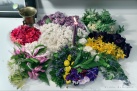 Cemetery Flowers II